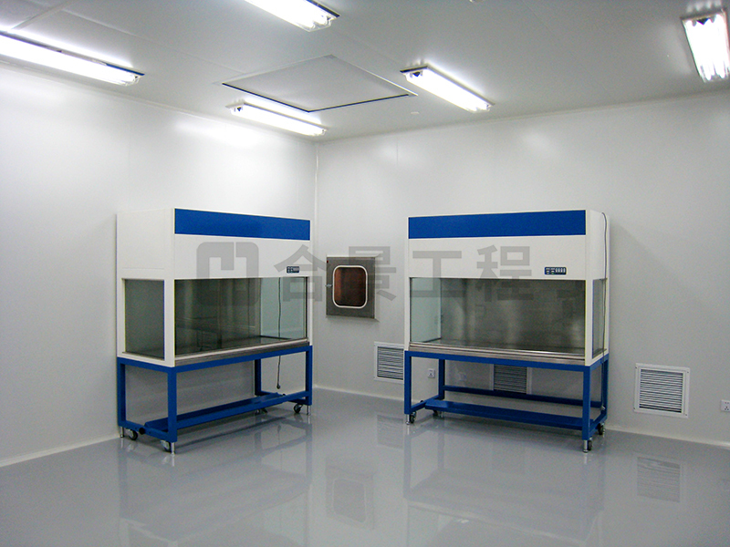 廣發(fā)制藥凈化工程案例 廣發(fā)制藥凈化工程案例